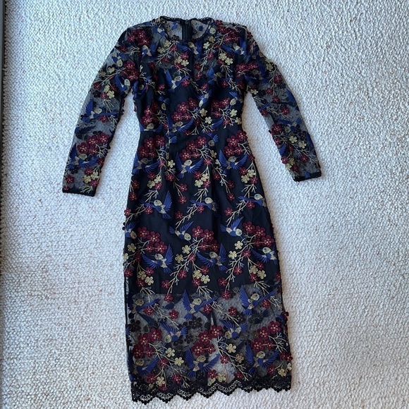 Dress the Population Sophia Hummingbird Embroidered Sheer Illusion Dress XS - Picture 5 of 16